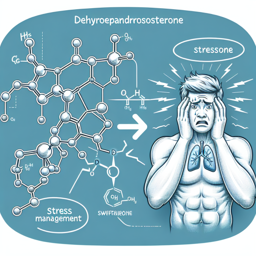 Die Rolle von Dehydroepiandrosteron bei der Stressbewältigung