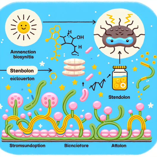 Wie Stenbolon die Proteinbiosynthese steigert