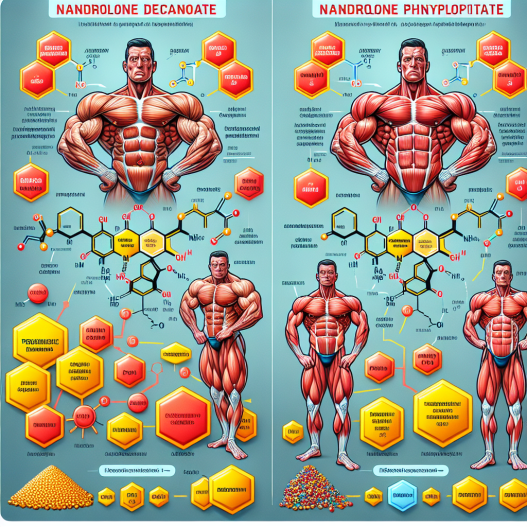 Nandrolon decanoat vs. Nandrolon Phenylpropionat: Detaillierter Vergleich für Bodybuilder