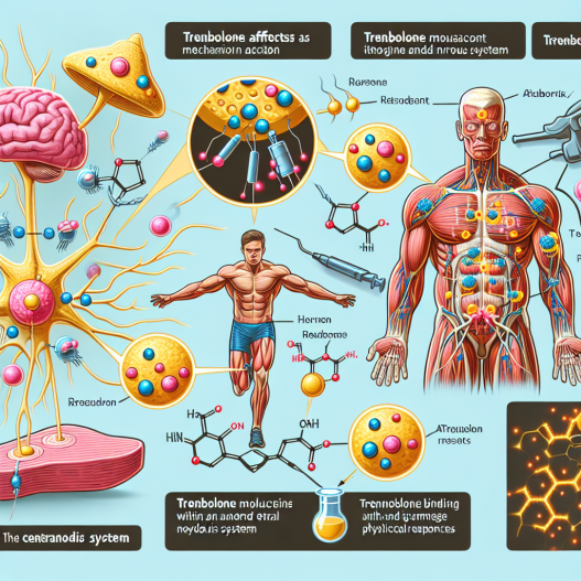 Wie Trenbolon auf das Zentralnervensystem als Androgen-Regulator bei Athleten wirkt